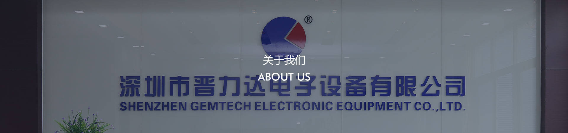 關於抖音成年版下载